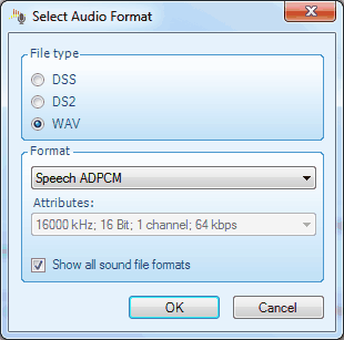 select_audio_format.gif